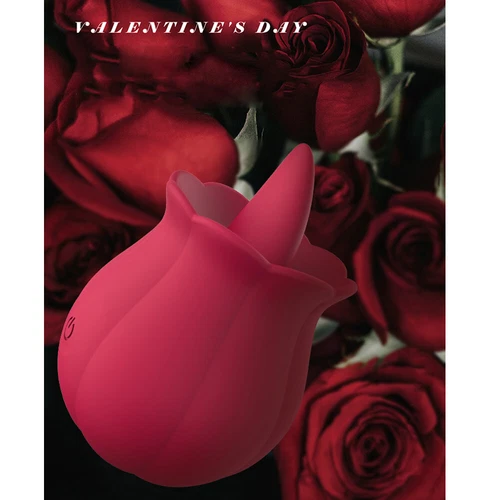 Silikon-Vibrator-Lecken-Sauger-Frauen-Massagegerät-10 Vibrationen USB Wiederaufladbar - Bild 7 von 21