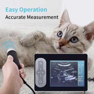 Portable Veterinary Ultrasound Scanner For Dog Cat Cattle Cow