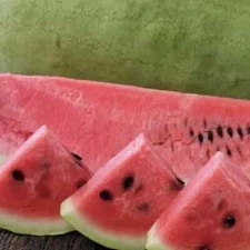 50 Charleston Grey Watermelon Seeds. USA Seeds. Organic. Ships free