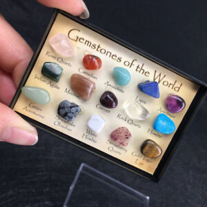 JIEIIFAFH Ten Kinds Natural Crystal and Stone Quartz Gemstone Rock Mineral Specimen Healin 