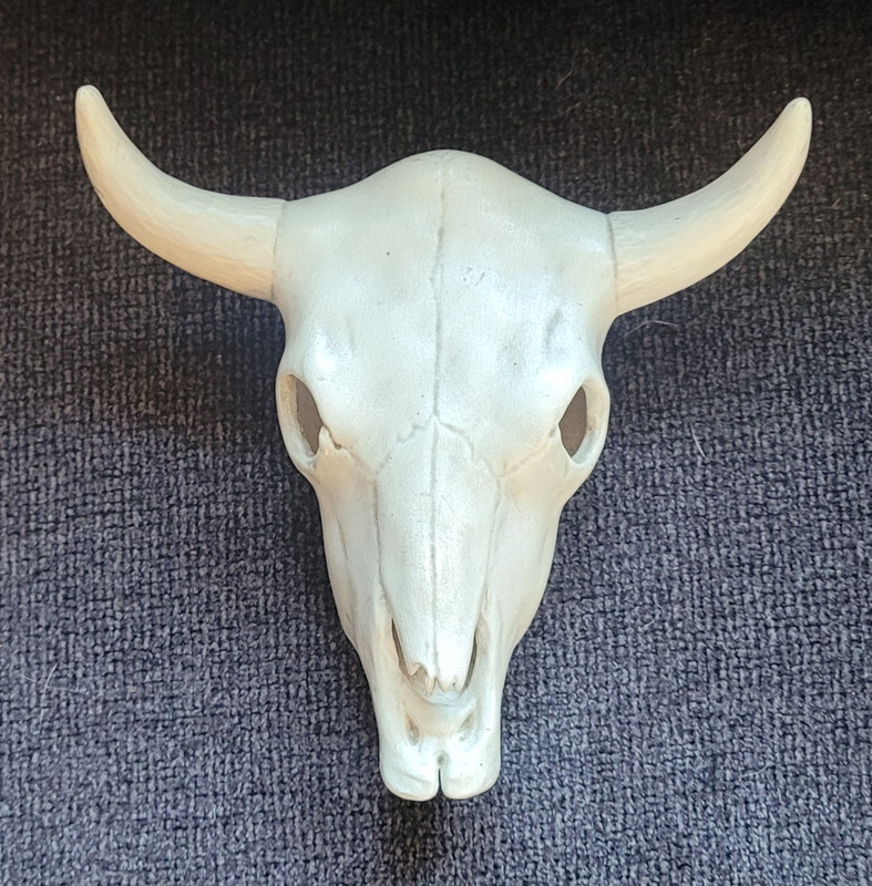 Western Americana Longhorn Steer Skull Wall Decor w/ Horns White 6x5.5" ceramic 