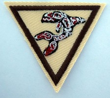 Parche de pez insignia propia del Consejo Girl Scout Brownie INDIOS OF WESTERN OREGON PRUÉBALO TRY IT