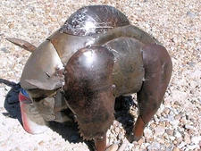 Large Metal Art Buffalo Bison, Junk Iron Art, C