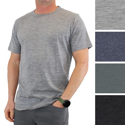 Taylor Stitch Men's Merino Shirt Wool Moisture-Wicking Super Soft T-shirt  $68