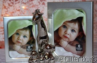 Elegant Baby Two Toned Silver Photo Frame 3x4 - 3x3 1/2 Elephant Bear Penguin