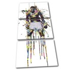 Muhammad Ali Boxer Boxing Colourful Sports TREBLE CANVAS WALL ART Picture Print