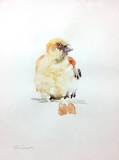 House Sparrow,  Birds, Watercolor artwork, Handmade, Original painting on paper
