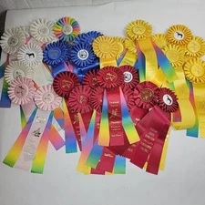 Horse Show Ribbons lot of 36 Rosettes Crafts Up Cycling Red Blue Yellow Pink