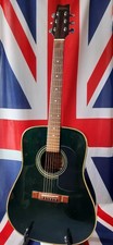 Washburn Acoustic Guitar D-10M/TBL. 