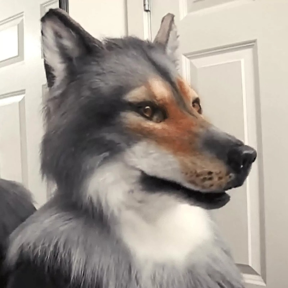 Halloween Cosplay Headdress Costume Mask Wolf Headwear Costume Mask