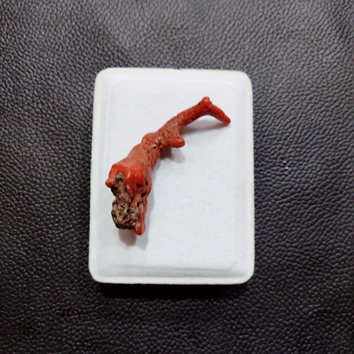 Vintage 100% Natural Red Coral Branch Gemstone Italian Sea Coral Polished Rough - Picture 9 of 16