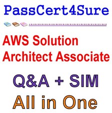 AWS Certified Solutions Architect - Associate SAA-C01 Exam Q A SIM