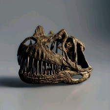 Ceratosaurus Sch&auml;del, Fossil,Skelett,Dinosaurier,Lebensgro&szlig;, 3D-Druck,bemalt