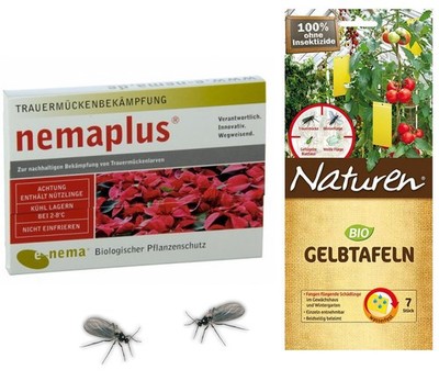 NemaPlus SF Nematoden (3 Mio) plus Gelbtafeln Kombi-Packung gegen Trauermücken