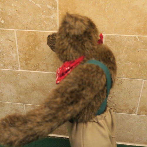 Mary Meyers 'GREEN MOUNTAIN' BEARS MANSFEILD Jointed Teddy Bear Mint 10" tall - Picture 2 of 12