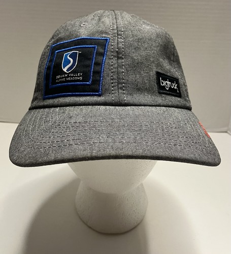 Big Truck Squaw Valley Alpine Meadows Hat Toyota Ski Tahoe Snapback Baseball Hat