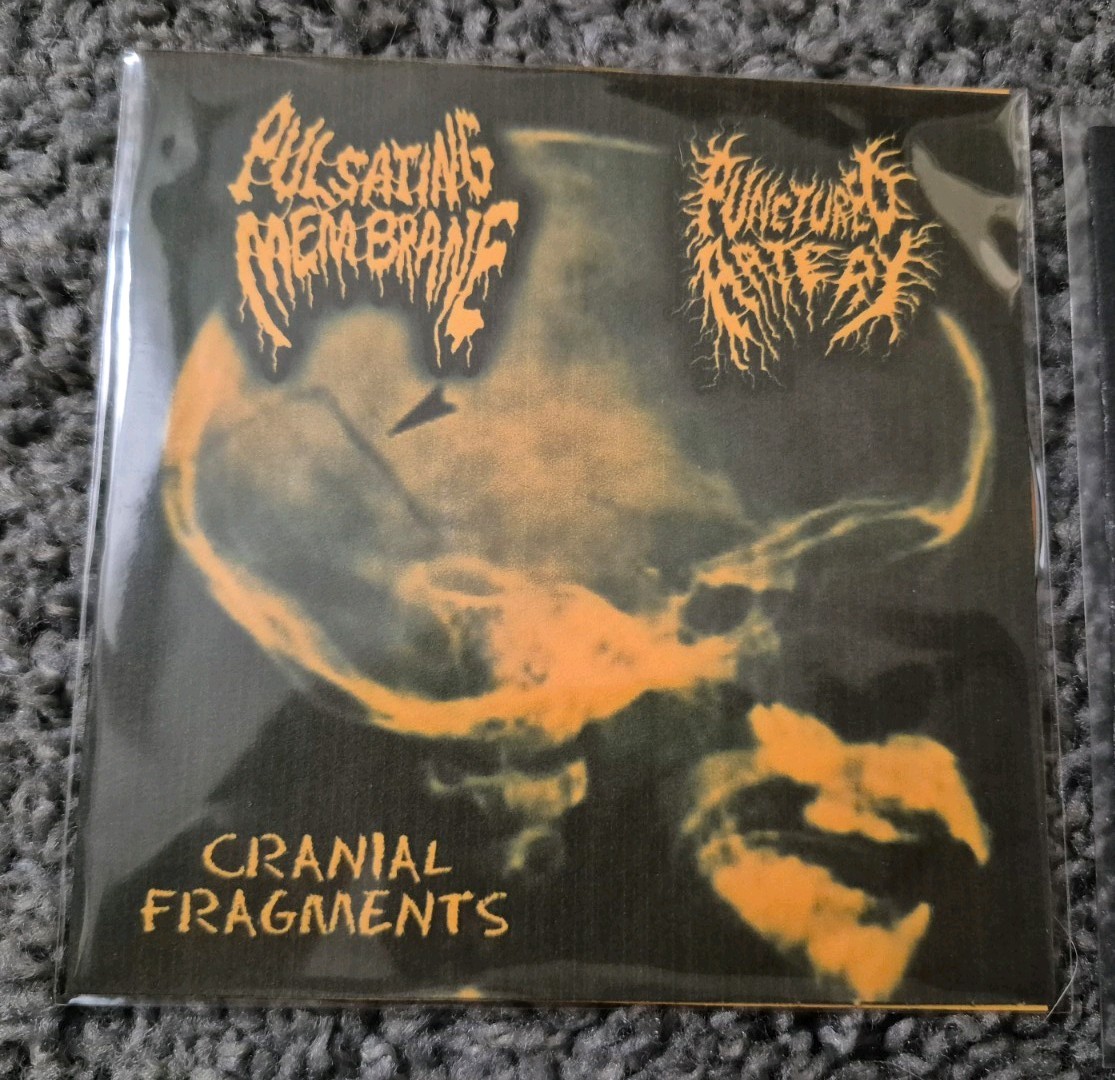 Goregrind CD Lot death metal grindcore gorenoise rare underground