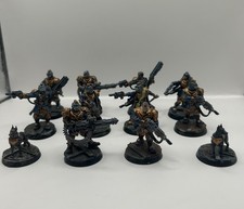 Imperial Agents Rogue Trader Voidsmen-at-Arms Kill Team Warhammer 40K gut bemalt