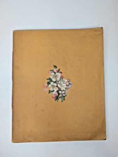 Antique Scrapbook 1870s-1890s 39 Pages Trade Cards Quack Medicine, Advertisments