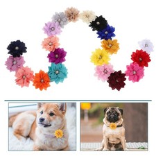 20 Pcs Dog Collar Decoration Embellishments for Collars Accessories