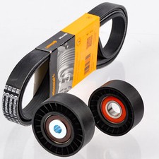 CONTINENTAL CTAM 6PK1743 Keilrippenriemen + Rolle für FORD MONDEO GALAXY LAND