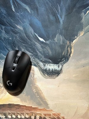 Logitech G703 Wireless Gaming mouse 