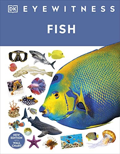 Dk - Fish - Hardback - G245Z-image