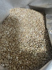 Organic Buckwheat Groats Non-GMO Kosher Raw Vegan 25 lbs. 1/2 cracked