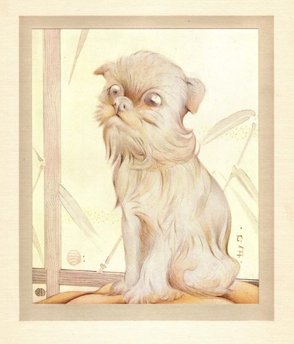 Antique Brussels Griffon Print c1915 E J Detmold Dog Art Illustration 5157p