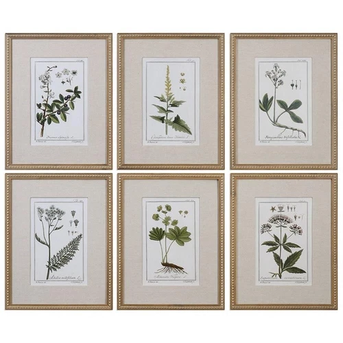 Uttermost Green Floral Botanical Study Pine Wood Prints - Multi-Color (Set of 6) - Picture 1 of 3
