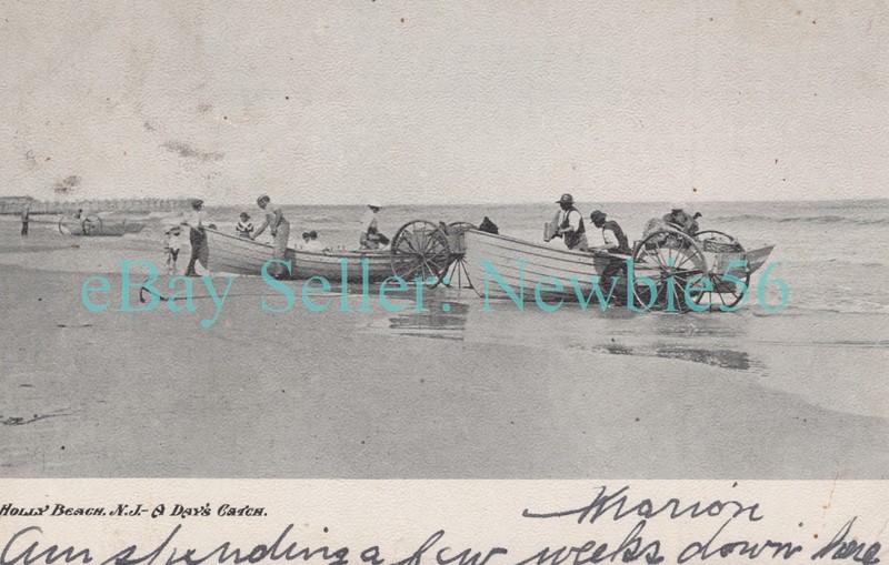 Holly Beach NJ - A DAYS CATCH FISHERMAN ON BEACH - Postcard Fishing