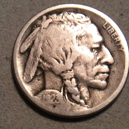 1923-S BUFFALO NICKEL  D-2 YOU GRADE FREE SHIPPING