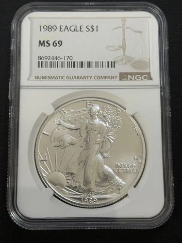 1989 AMERICAN SILVER EAGLE NGC MS 69 BROWN LABEL Clean and Bright