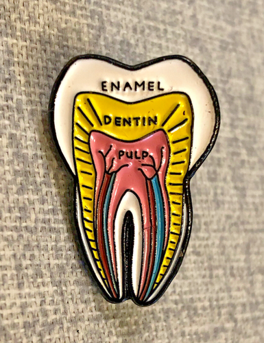 Dental Pin Mini Tooth Anatomy Cute Graduation Gift for Dentist, RDH - 1 in - Picture 1 of 4