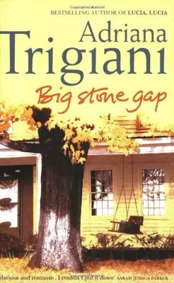 Big Stone Gap: A Novel (Big Stone Gap Saga 1)