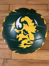 North Dakota State Bison Molten Volleyball Logo Ball NCAA College Sports