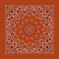 Burnt Orange 22" x 22" Paisley Print Bandana