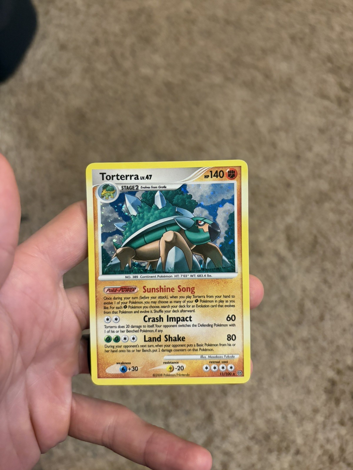 Pokemon Torterra 11/100 Stormfront Holo LP