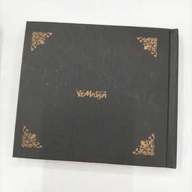 Sega Saturn Software Model Langrisser Tribute Mesiah FLr95