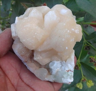 Stilbit Auf Apophyllit Mineralien Exemplar Indien B=29