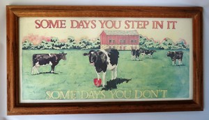 Art-Cows-Country-Farmhouse-Motto-034-Some-Days-You-Step-In-It-034-Framed-Print-Saying