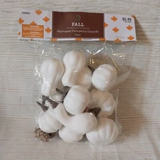 New! Mini Pumpkins Gourds Pinecones Crafts Vase Bowl Filler Scatter Decor Fall 