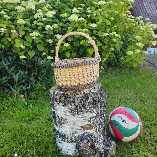 Large Rustic Handwoven Wicker Basket – Willow Gathering Basket for Foraging - Picture 4 of 5