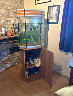 AquaVital 100L Hexagonal Glass Aquarium Fish Tank with Stand