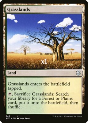 MTG Commander: Adventures in the Forgotten Realms AFC Grasslands MINT