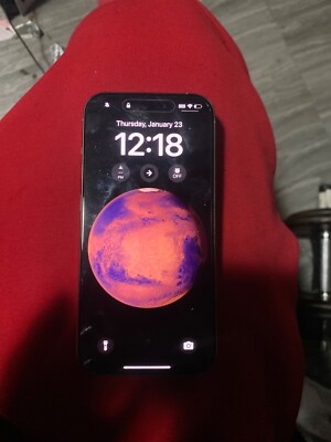 Apple iPhone 15 Pro Max - 256 GB - Beige with TikTok 