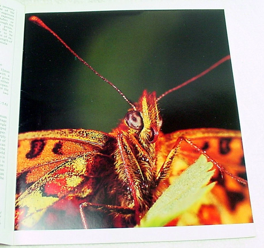 Hasselblad Close-up theme book | 1986 | 25p | New | $7.35 | - Image 2 of 3