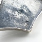 Foto 5 di 6