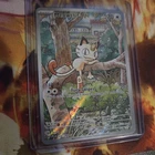 Meowth 106/094 Me02: Phantasmal Flames Holo Illustration Potential Of $200