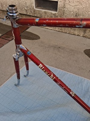 1964 Bianchi Specialissima 59cm Frame Frameset Campagnolo GC | eBay